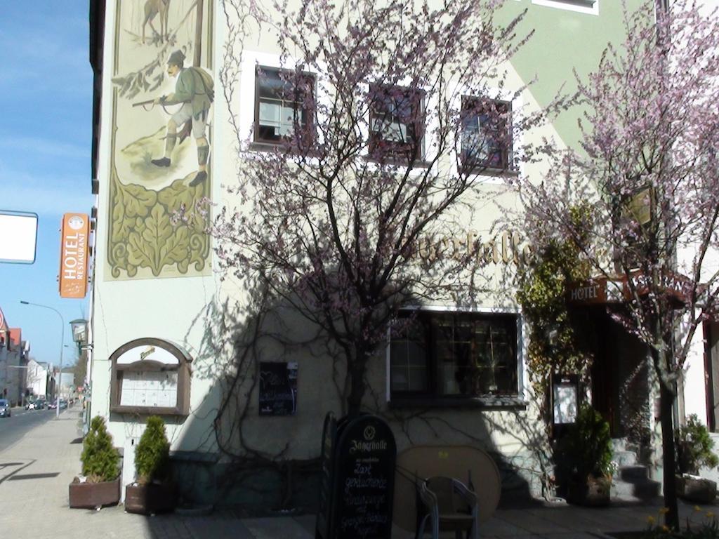 Hotel Jaegerhalle Falkenstein  Экстерьер фото